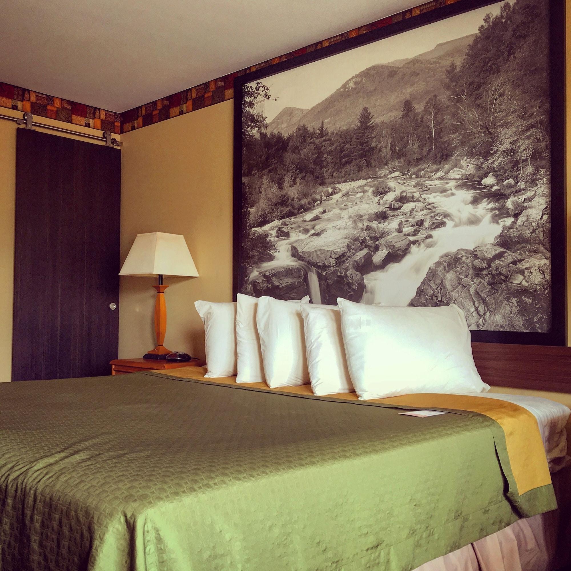 Hotel Super 8 By Wyndham George/downtown